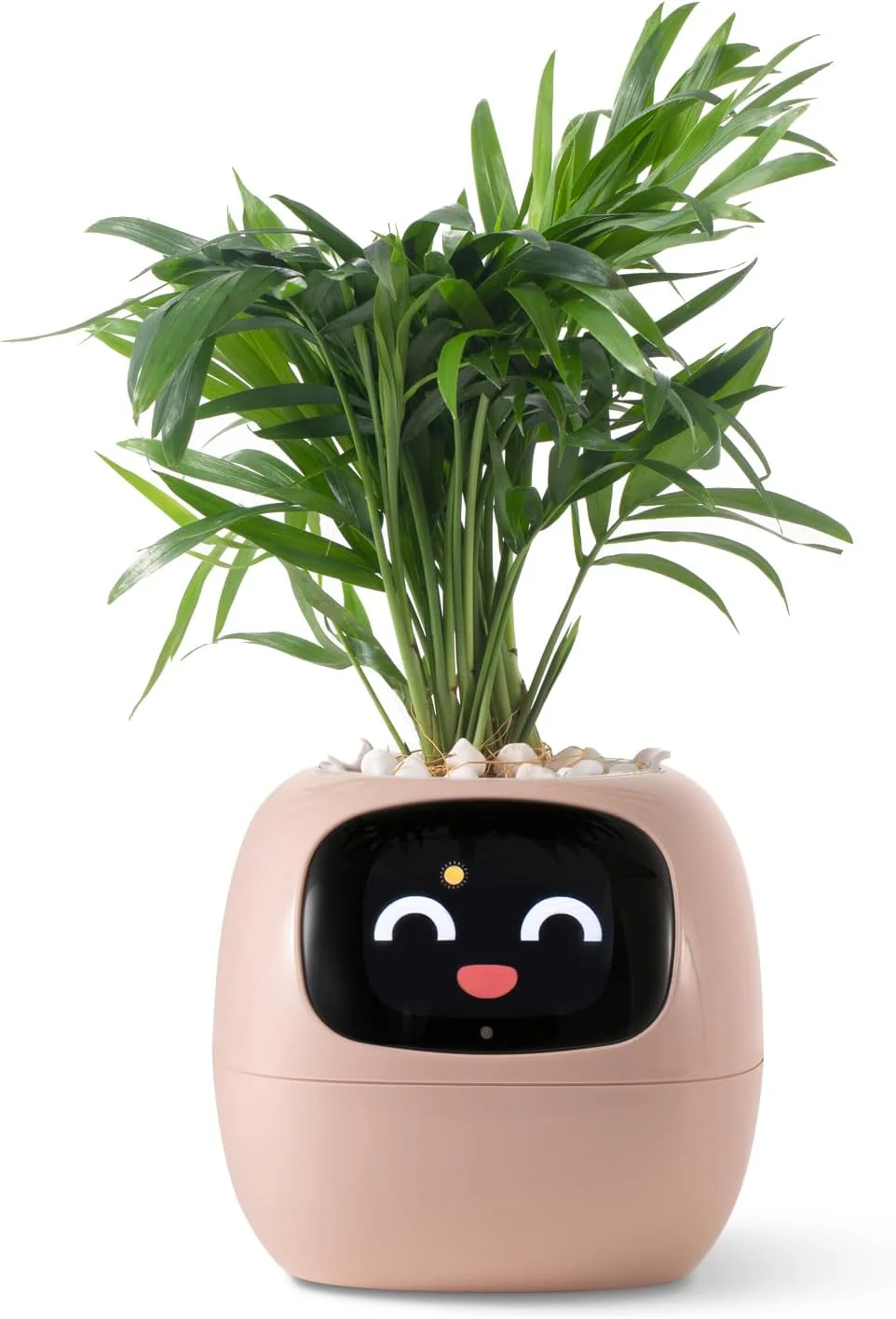 Plantagochi - Maceta Inteligente para plantas