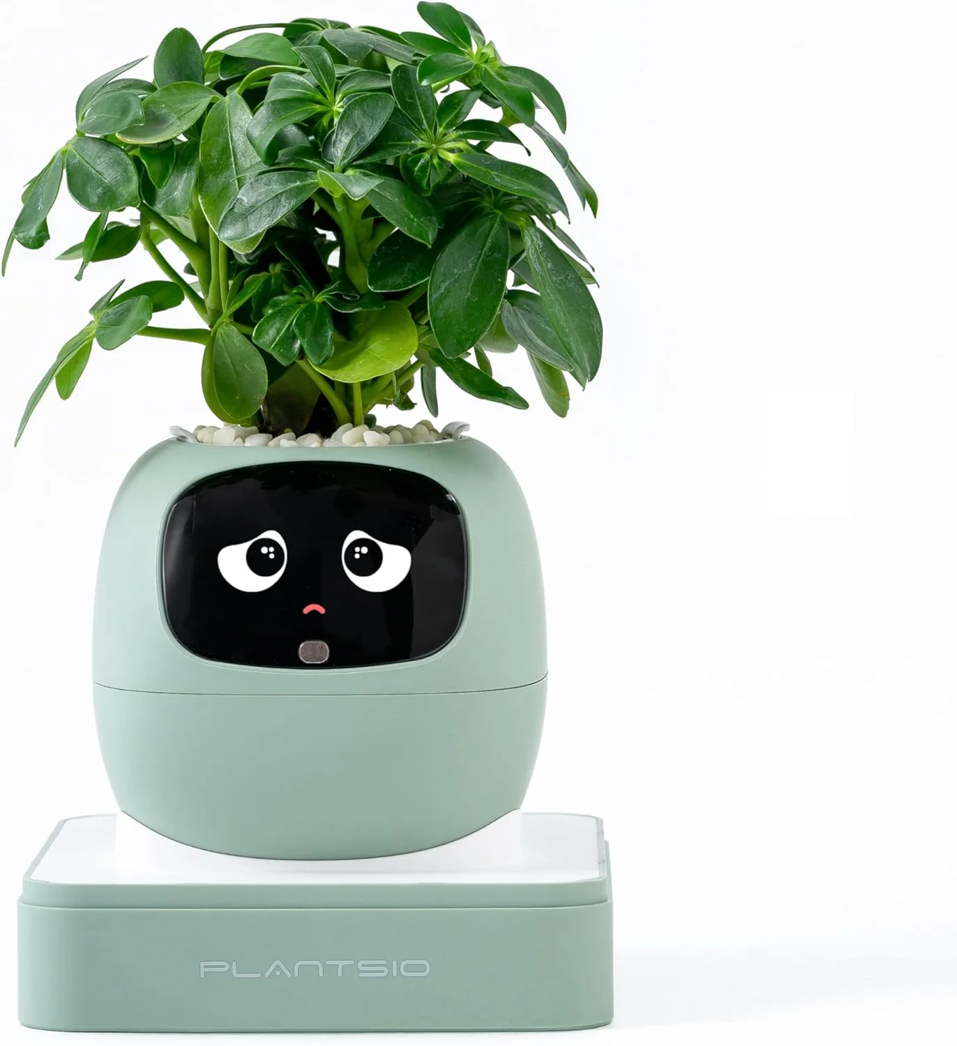 Plantagochi - Maceta Inteligente para plantas - Image 10