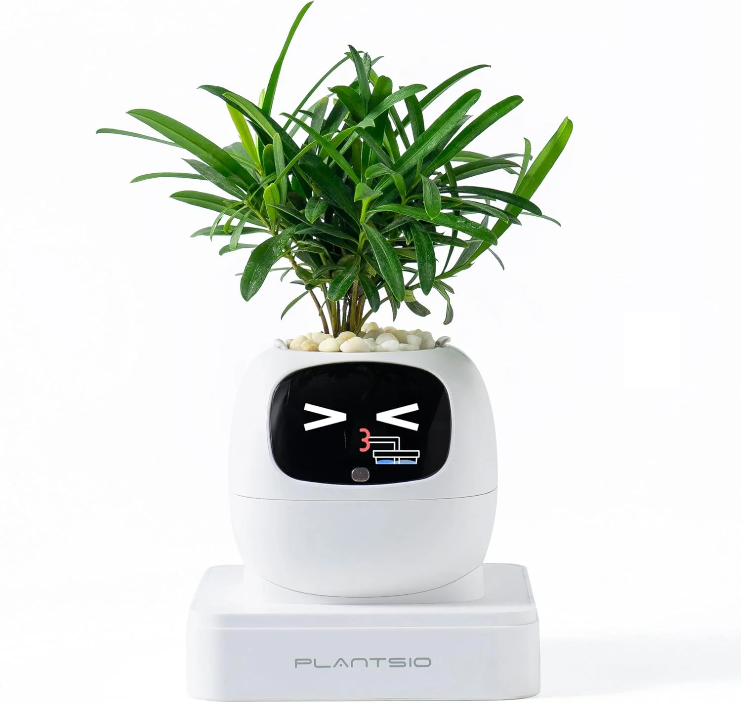Plantagochi - Maceta Inteligente para plantas - Image 11