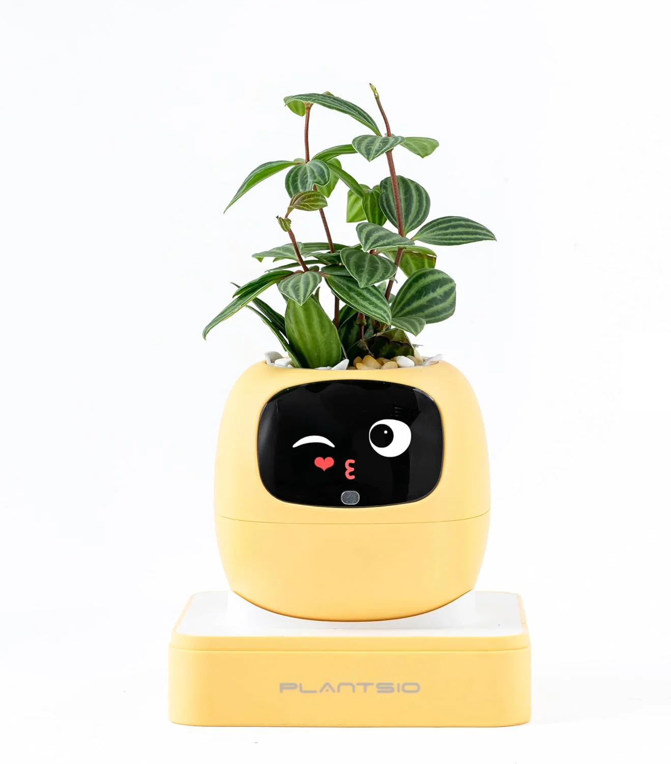 Plantagochi - Maceta Inteligente para plantas - Image 14