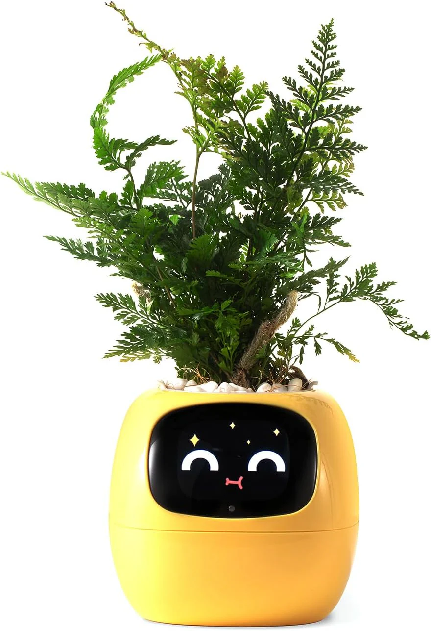 Plantagochi - Maceta Inteligente para plantas - Image 16