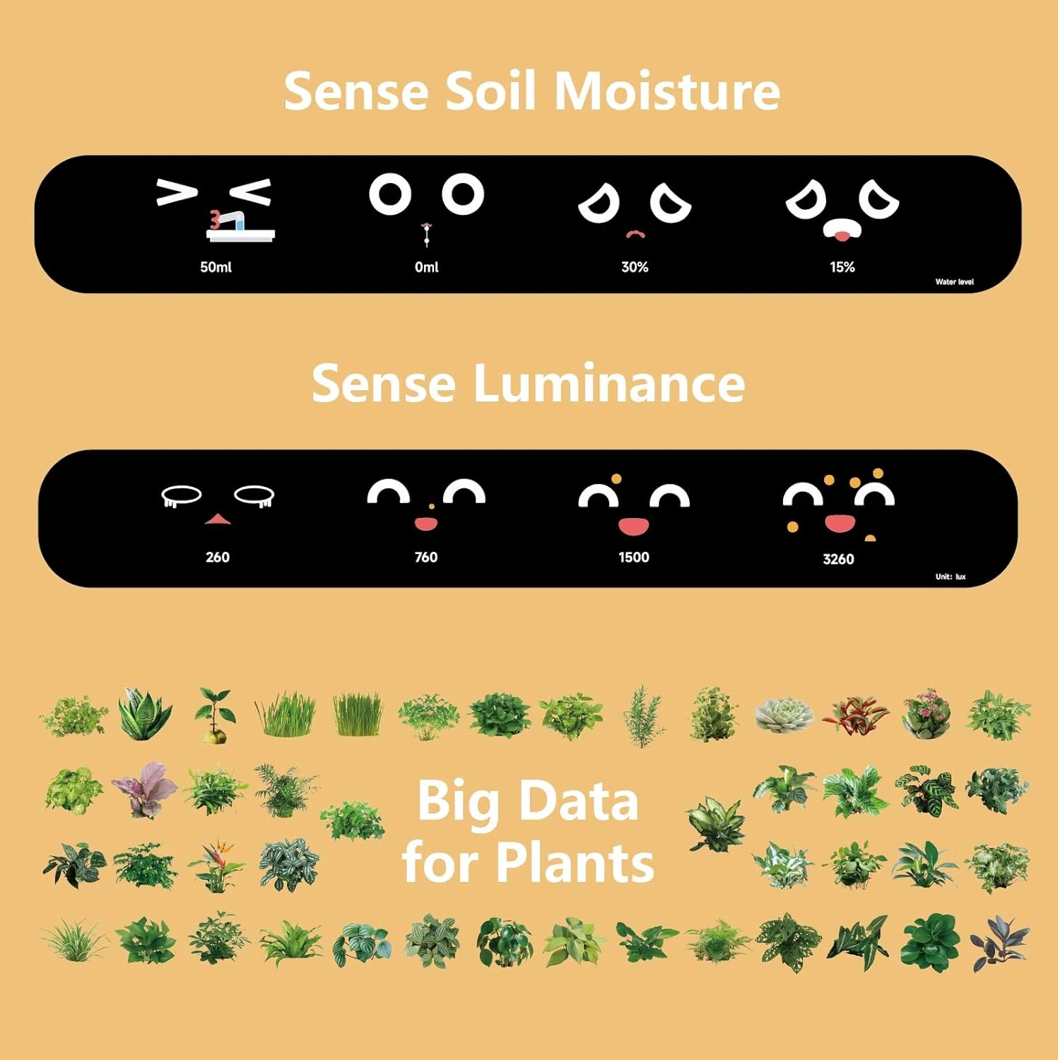 Plantagochi - Maceta Inteligente para plantas - Image 5