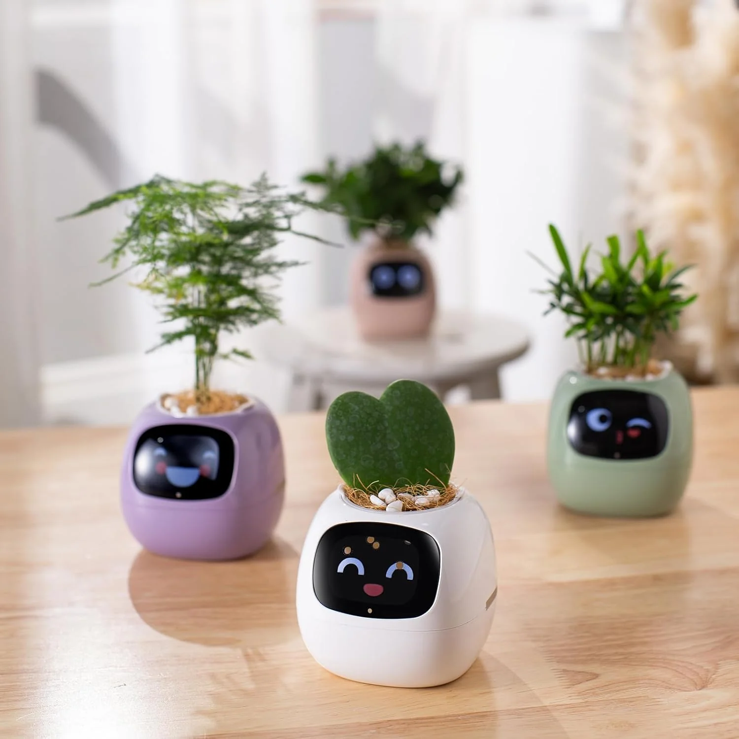 Plantagochi - Maceta Inteligente para plantas - Image 6
