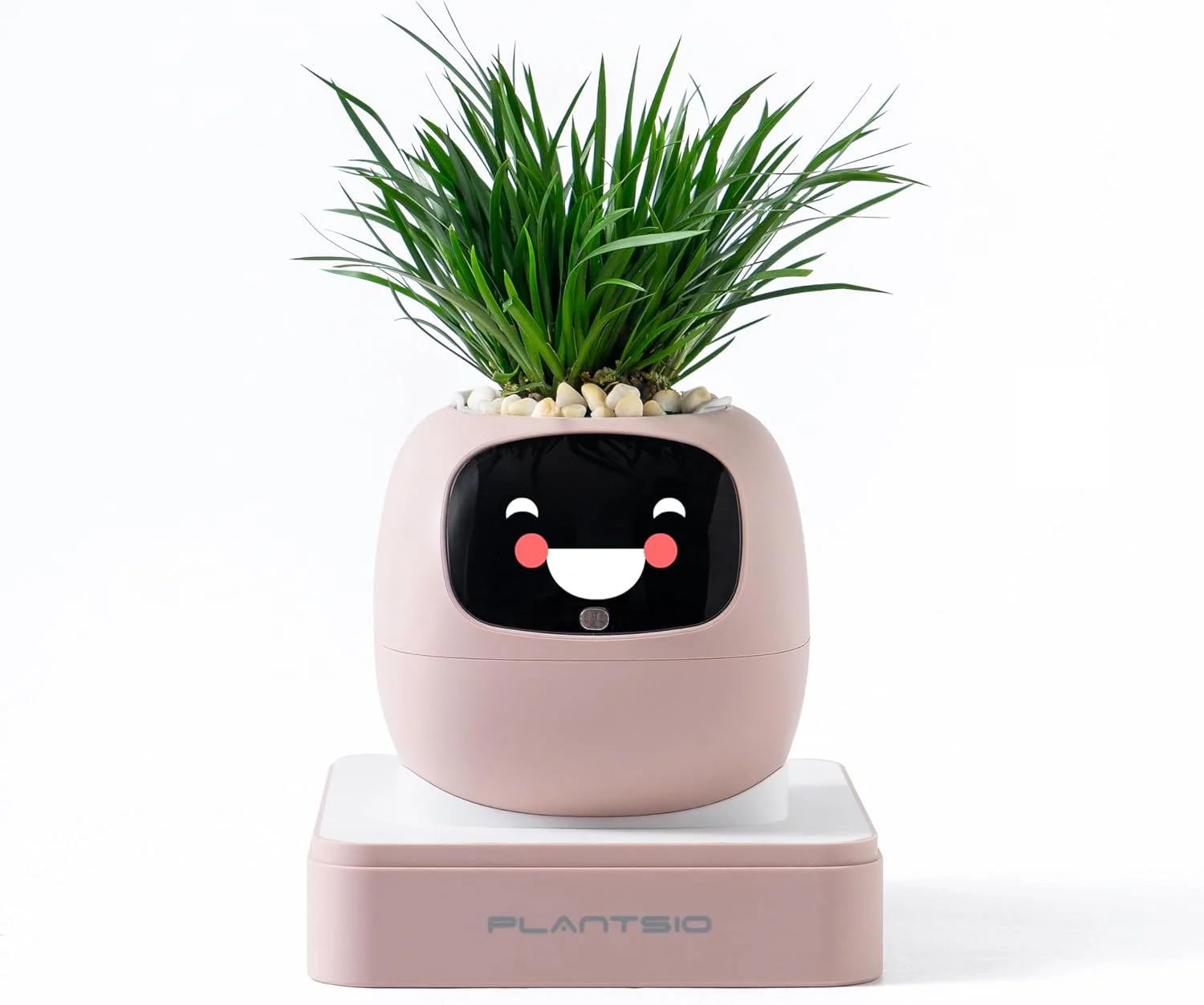 Plantagochi - Maceta Inteligente para plantas - Image 8