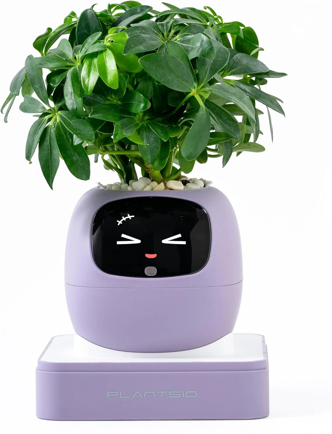 Plantagochi - Maceta Inteligente para plantas - Image 9