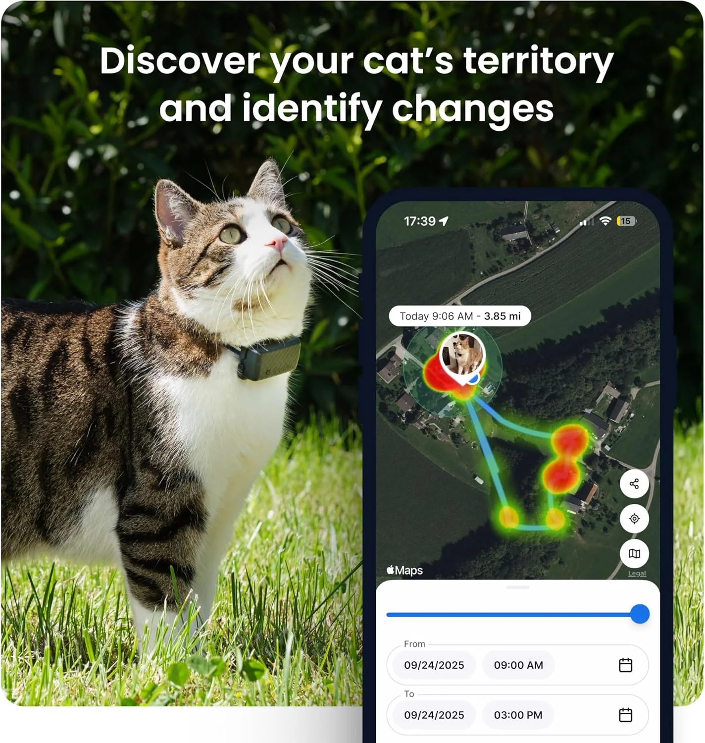 Rastreador GPS inteligente para gatos - Tractive - Image 4