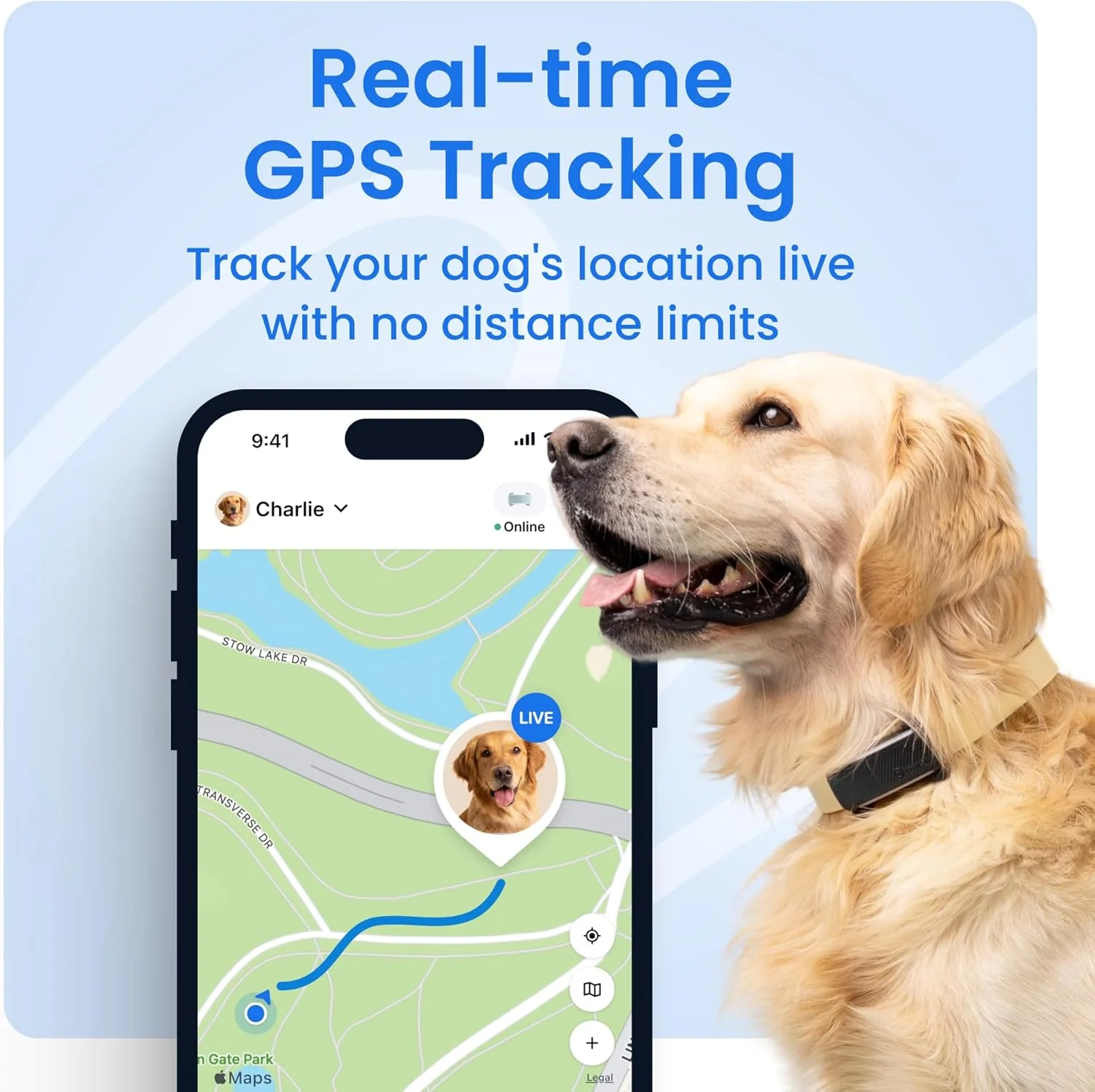 Collar GPS Tractive: Localizador y Salud Animal - Image 2
