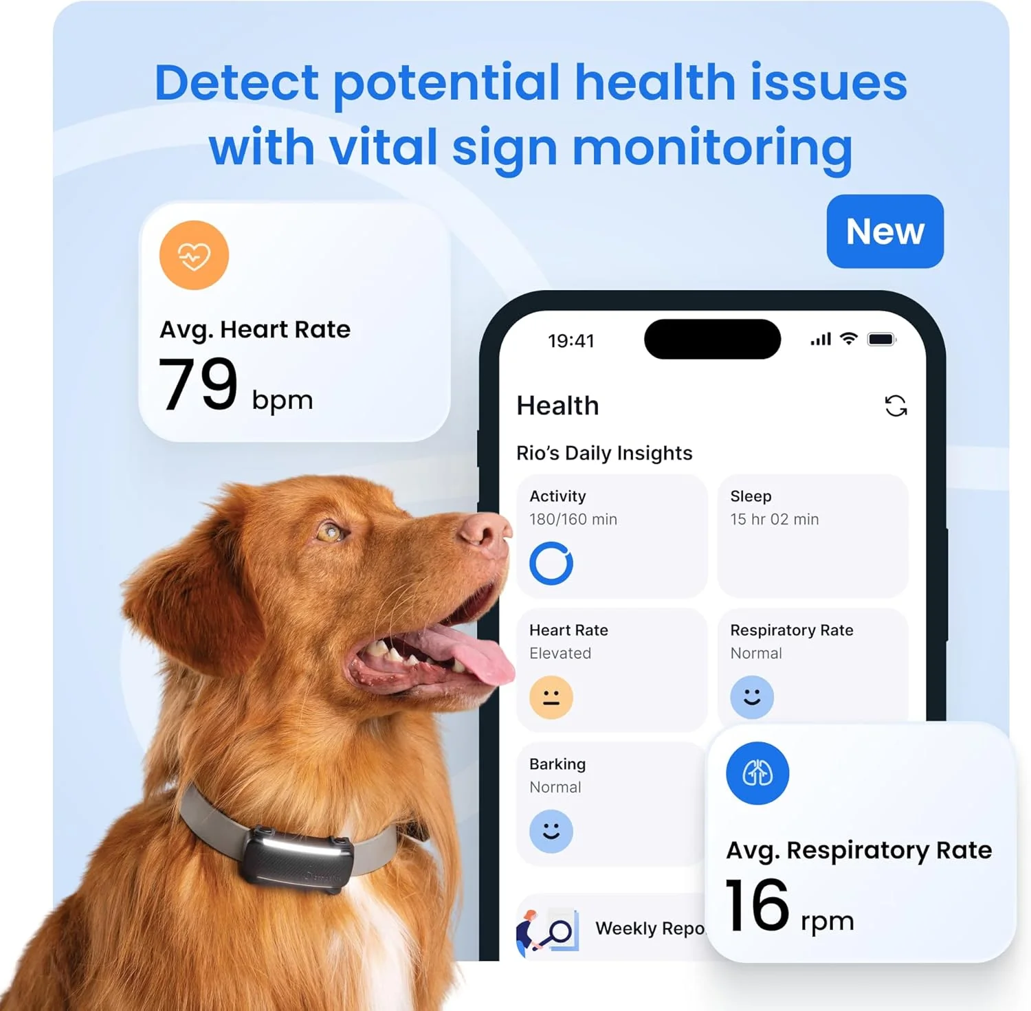 Collar GPS Tractive: Localizador y Salud Animal - Image 4
